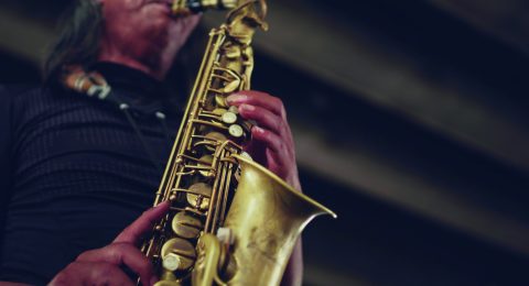 pexels-chevanon-photography-359995